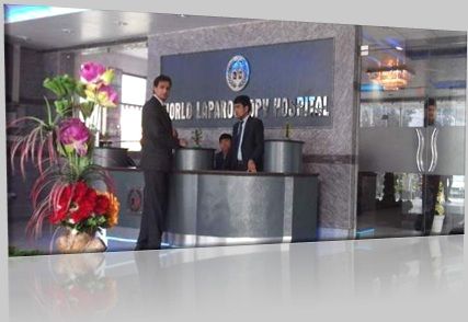 World Laparoscopy Hospital