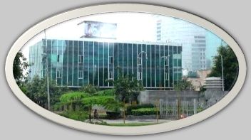 World Laparoscopy Hospital