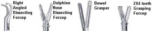 gasper and forcep