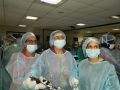 Surgeons & Gynecologist Inter active laparoscpoic wet lab for practicing Laparoscopic surgery on the Live Tissue.
