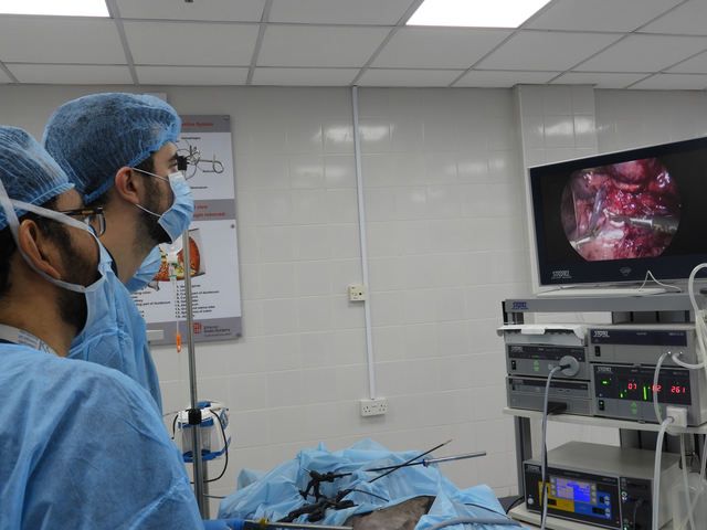 World Laparoscopy Hospital (INDIA - UAE)