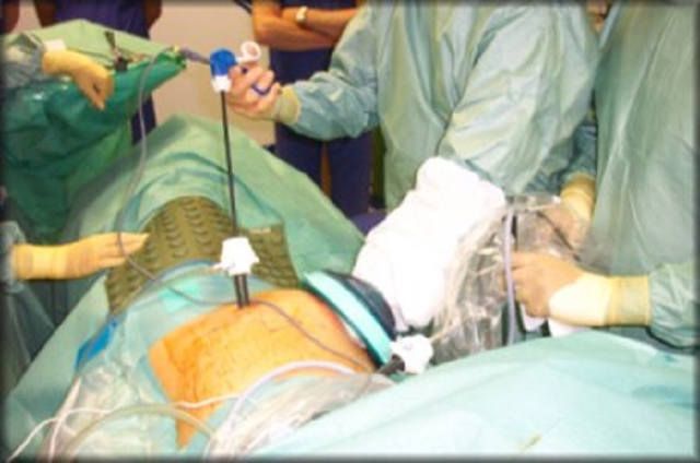 World Laparoscopy Hospital