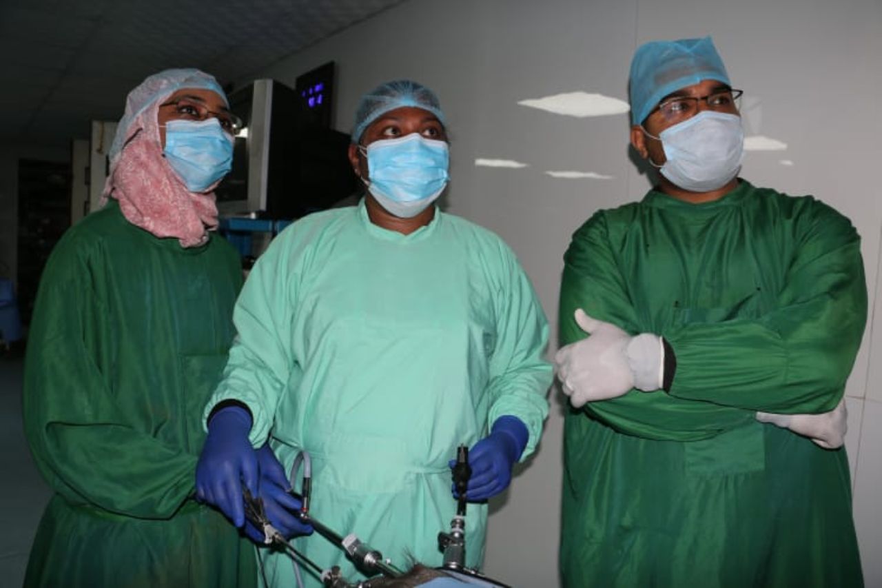World Laparoscopy Hospital 
