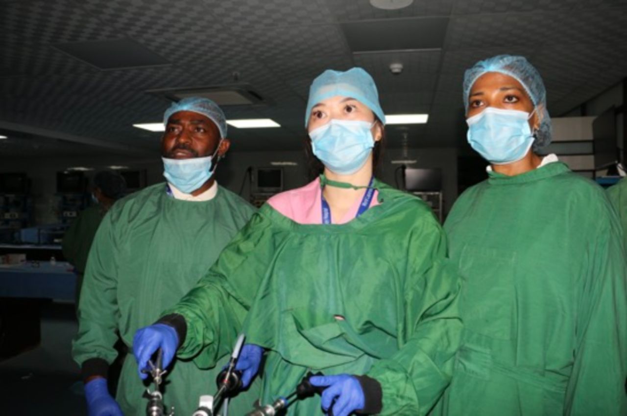 World Laparoscopy Hospital