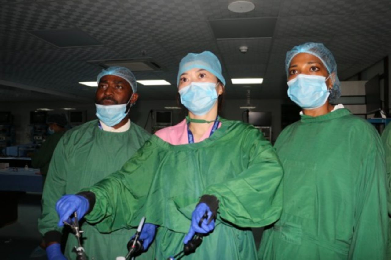 World Laparoscopy Hospital