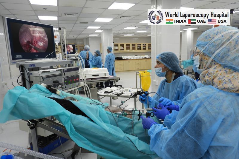World Laparoscopy Training Institute, USA