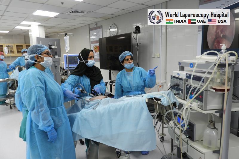 World Laparoscopy Training Institute, USA