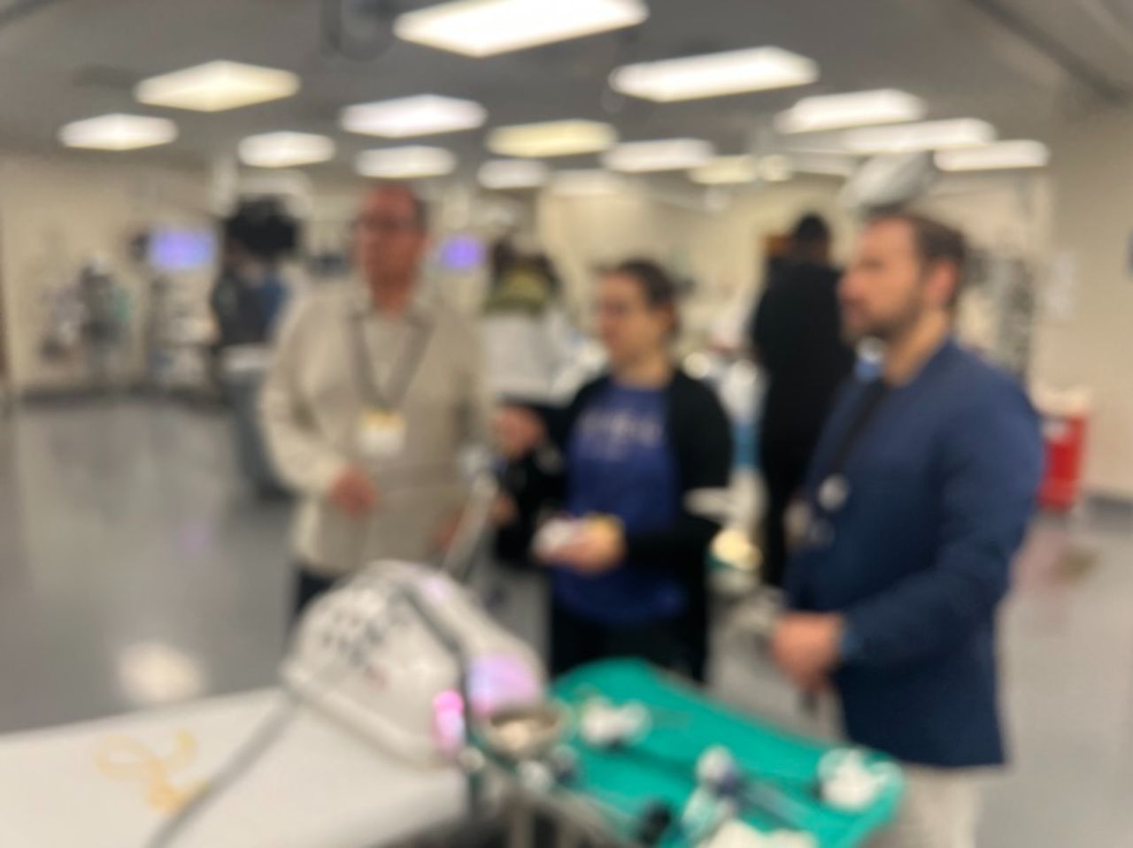 World Laparoscopy Training Institute, USA