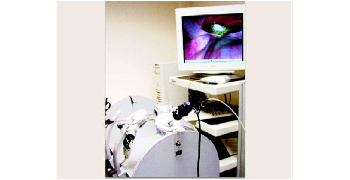 Virtual reality trainer with software control