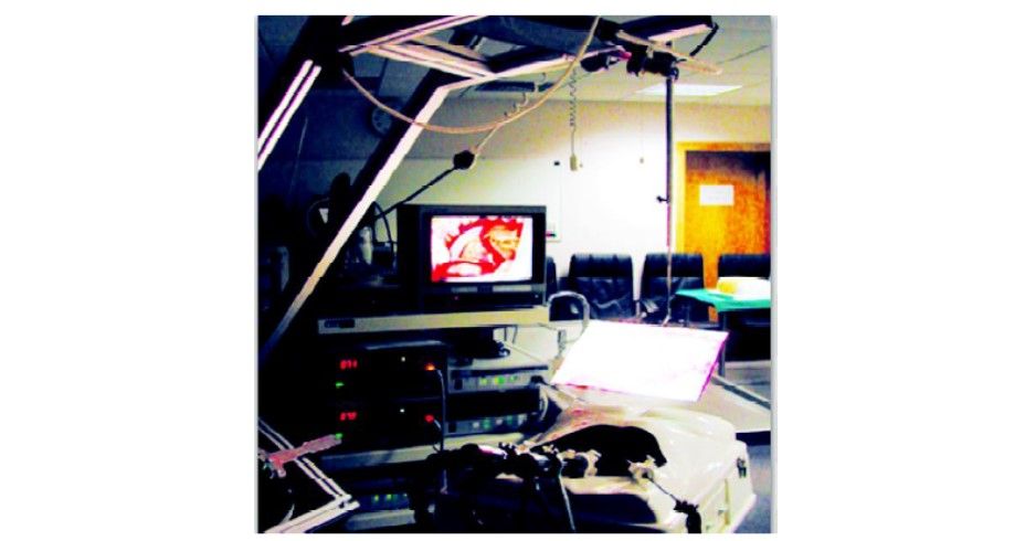 Hologram projection system