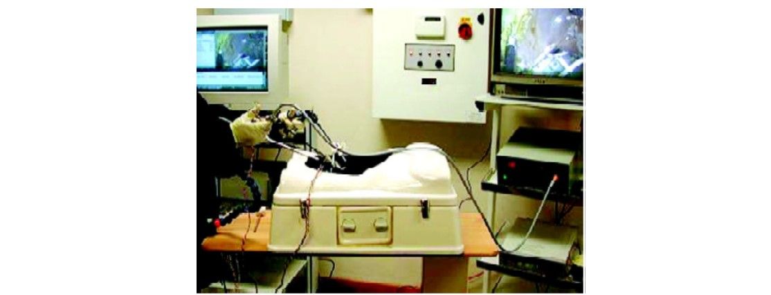 Pelvitrainer exercises to improve skill