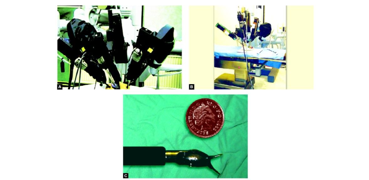 (A and B) Robotic arms of da Vinci surgical system; (C) Effector tips of the da Vinci surgical system