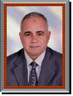 Dr. Mohamed El-Sayed Ibrahim Hassan