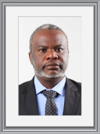 Dr. MULEMA NOEL  FETI