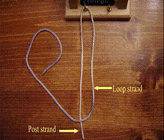 extracorporael knot clip