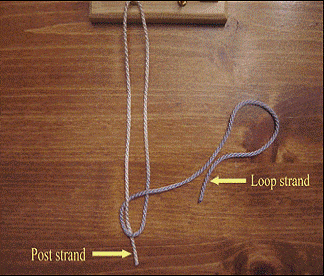 extracorporael knot clip