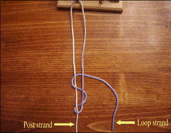 extracorporael knot clip