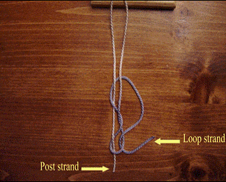 extracorporael knot clip