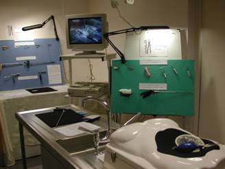 HALS training box