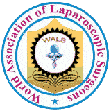 Wals Logo