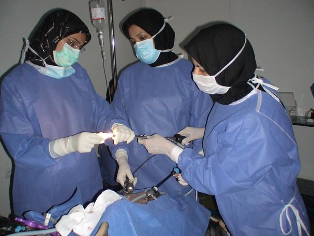 Laparoscopic Surgery Training