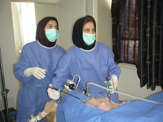 Laparoscopic Surgery Training