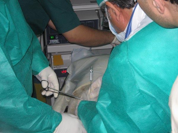 Laparoscopic Surgery Training