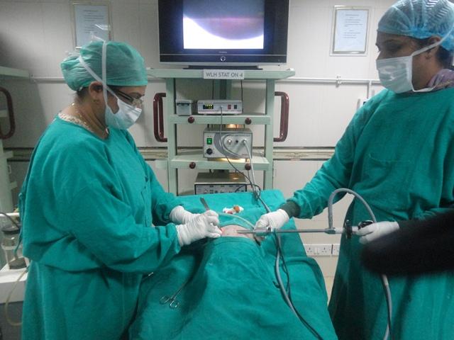 World Laparoscopy Hospital