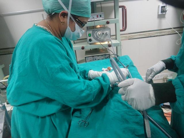 World Laparoscopy Hospital