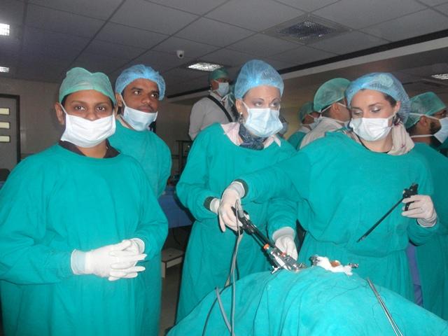 World Laparoscopy Hospital