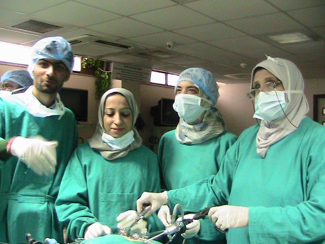 World Laparoscopy Hospital