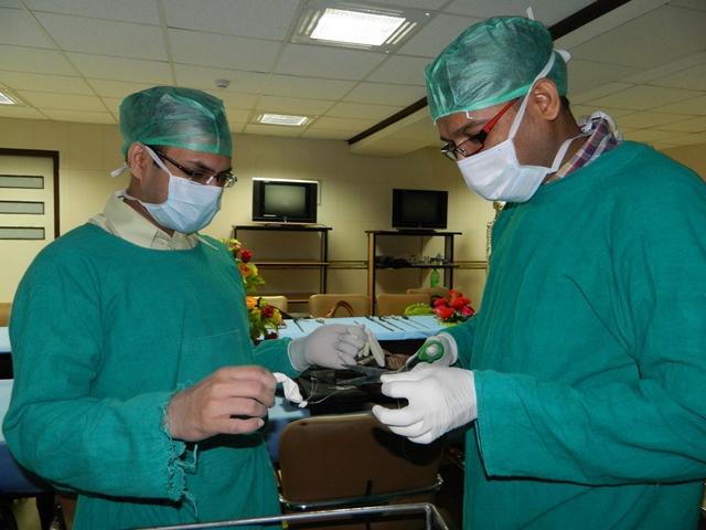 World Laparoscopy Hospital