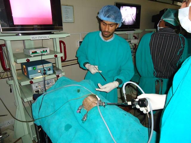 World Laparoscopy Hospital