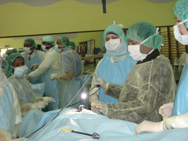 Advanced Laparoscopic Training