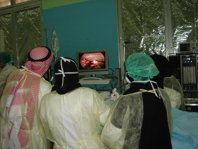 Advanced Laparoscopic Training