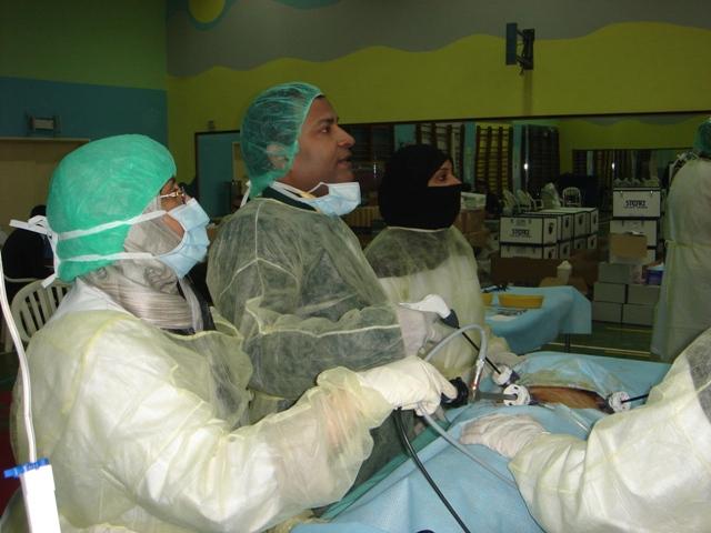 Advanced Laparoscopic Training