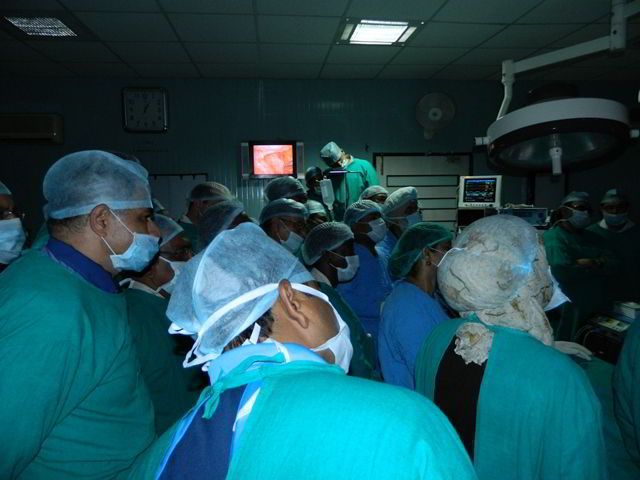 Advanced Laparoscopic Training