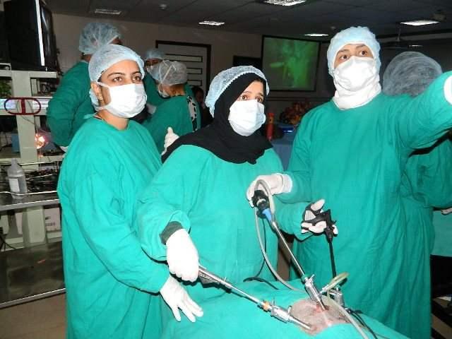World Laparoscopy Hospital
