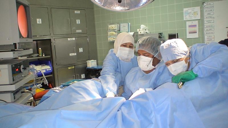 World Laparoscopy Hospital