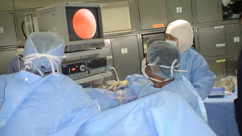 World Laparoscopy Hospital