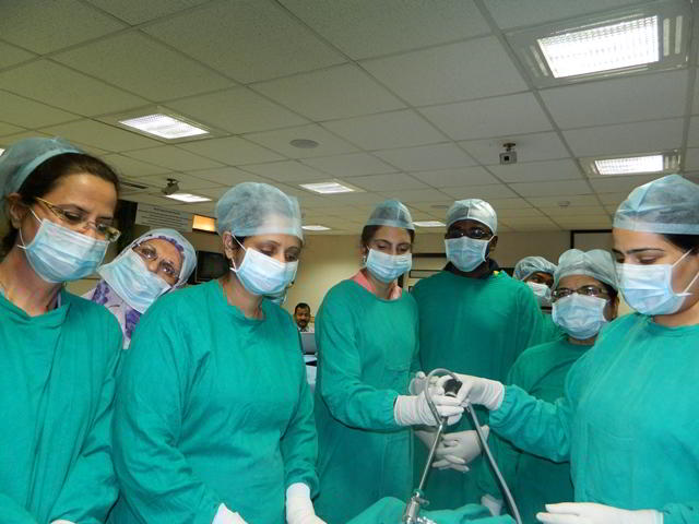 World Laparoscopy Hospital