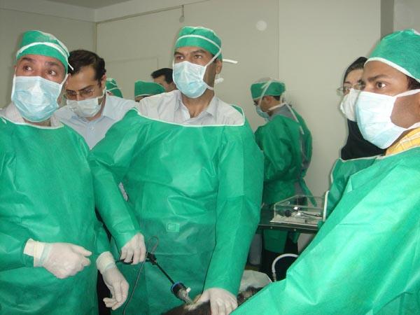 World Laparoscopy Hospital