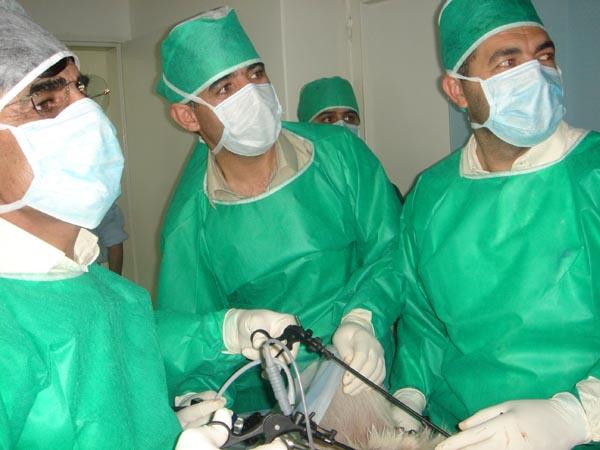 World Laparoscopy Hospital