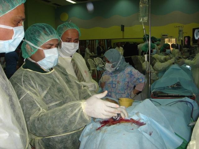 World Laparoscopy Hospital