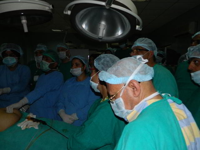 World Laparoscopy Hospital