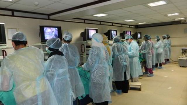 World Laparoscopy Hospital