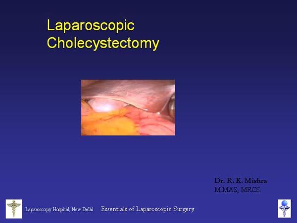 Laparoscopic Pictures From World Laparoscopy Hospital