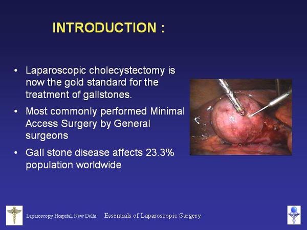 Laparoscopic Pictures From World Laparoscopy Hospital