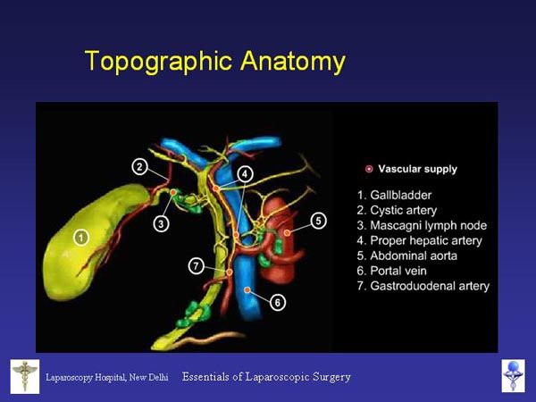 Laparoscopic Pictures From World Laparoscopy Hospital