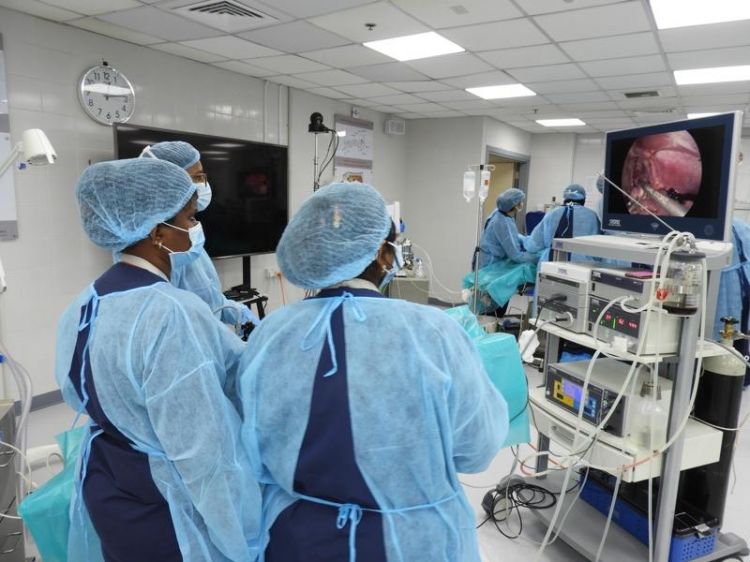 Disposable FogFree Articulating Laparoscopic Telescope